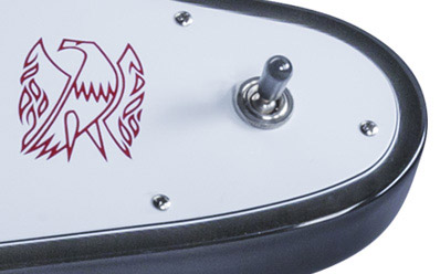 Firebird