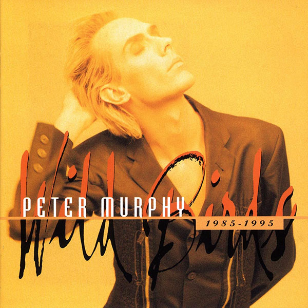 Peter Murphy