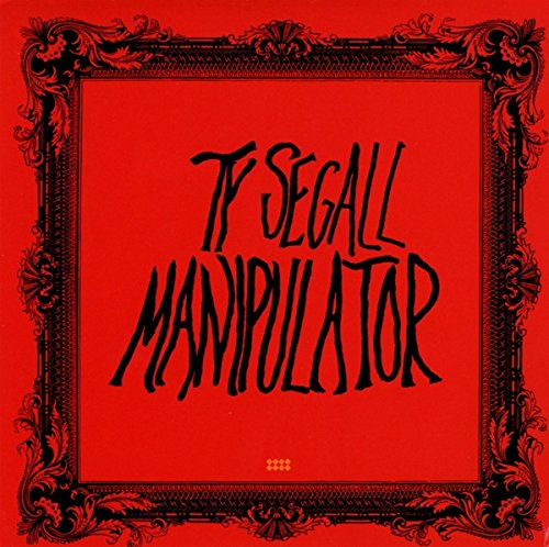 ty segall
