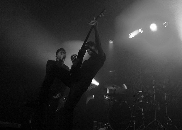 AFI by Anne Erickson