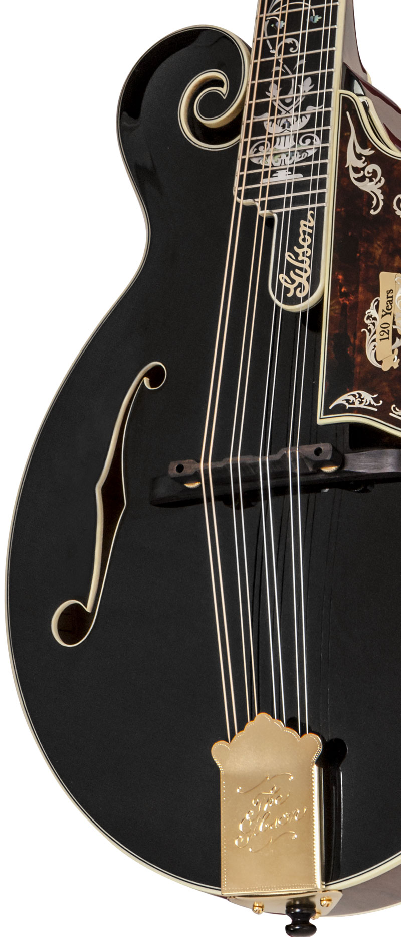 Gibson 120th Anniversary Mandolin Set
