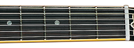 Fingerboard