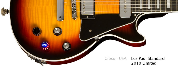 Gibson USA - Les Paul Standard 2010 Limited