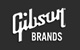 Experience Gibson: Get to Know Gibson Brands at Free Event