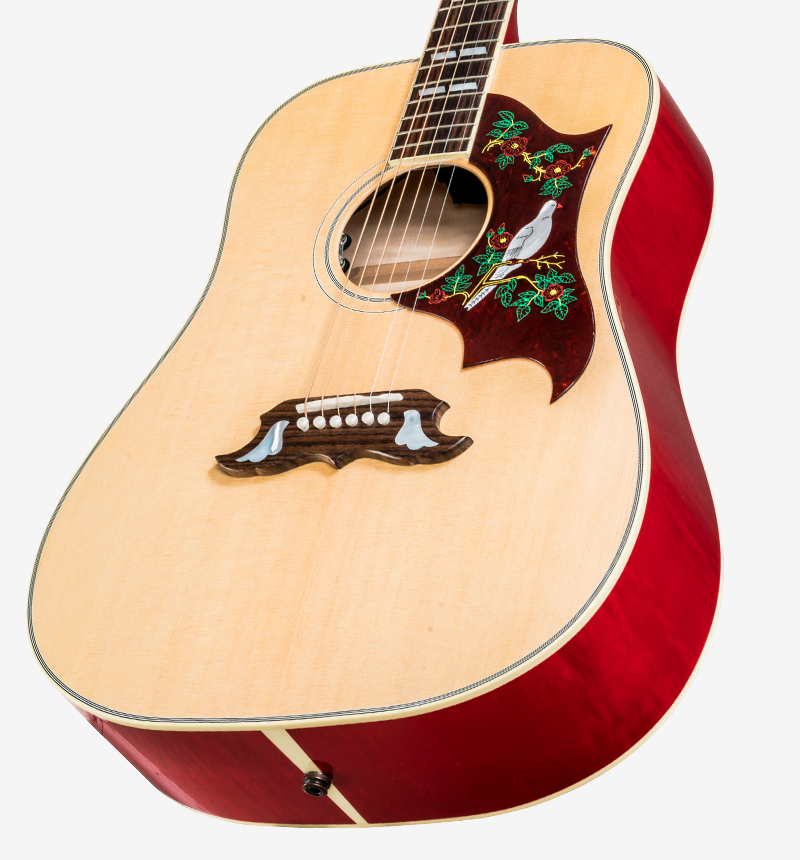 Gibson Acoustic Instruments