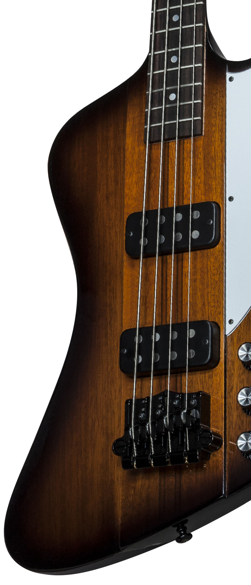 Thunderbird Bass 2015