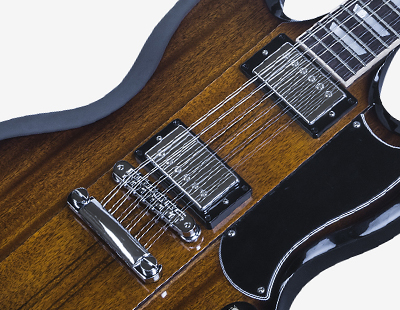 12 string sg