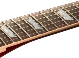 Fingerboard - Gibson Custom Shop Alex Lifeson Signature Axcess Les Paul Viceroy Brown