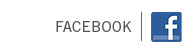 Gibson Guitar: Facebook